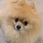 ユーザー画像
