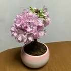ユーザー画像