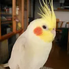 ユーザー画像