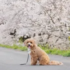 ユーザー画像