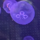 ユーザー画像