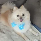 ユーザー画像