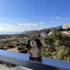 ちびひろ