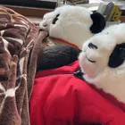 ユーザー画像