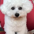 ユーザー画像
