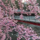 ユーザー画像