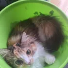 ユーザー画像