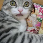 ユーザー画像