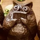 ユーザー画像