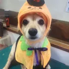 ユーザー画像