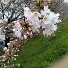 ユーザー画像