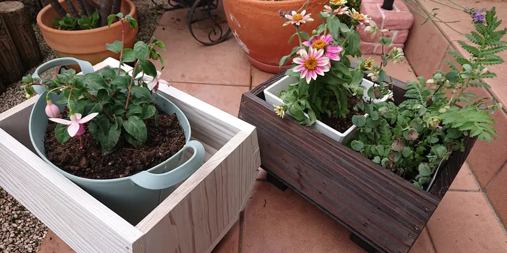 アンティークドアオブジェ | CAINZ DIY Square