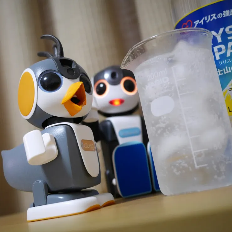 キャプション