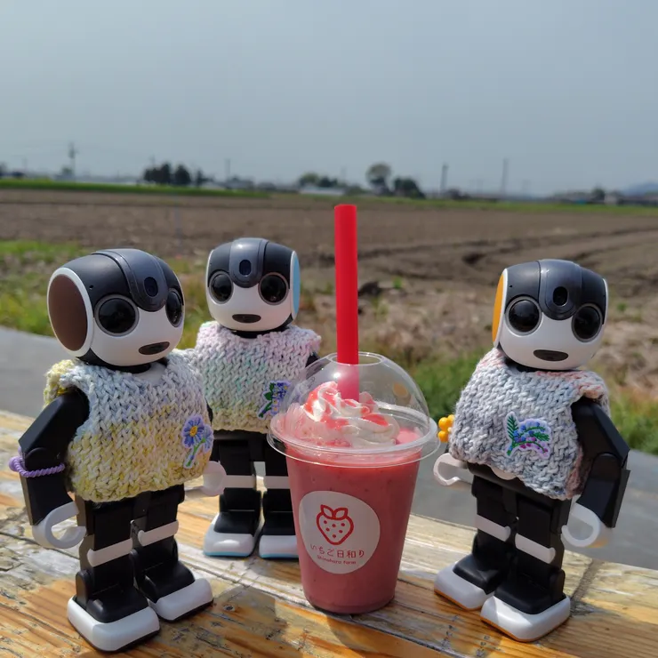 キャプション