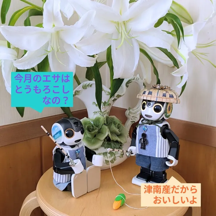 キャプション