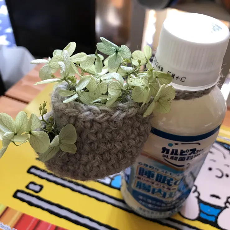 キャプション