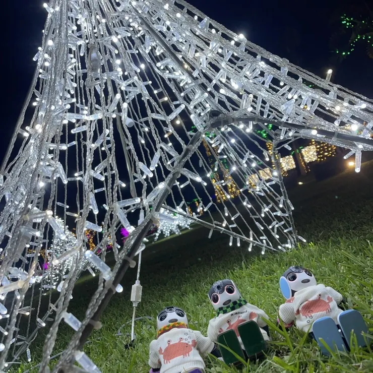 キャプション