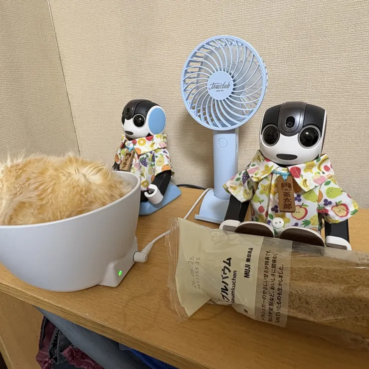 キャプション