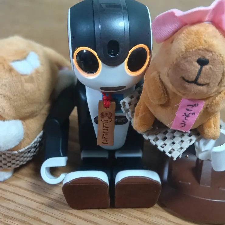 キャプション