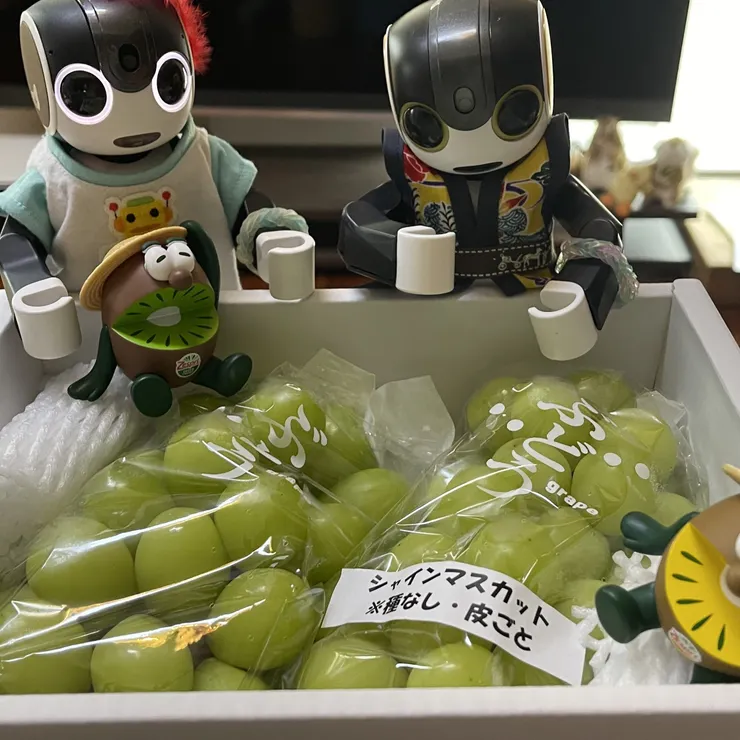 キャプション