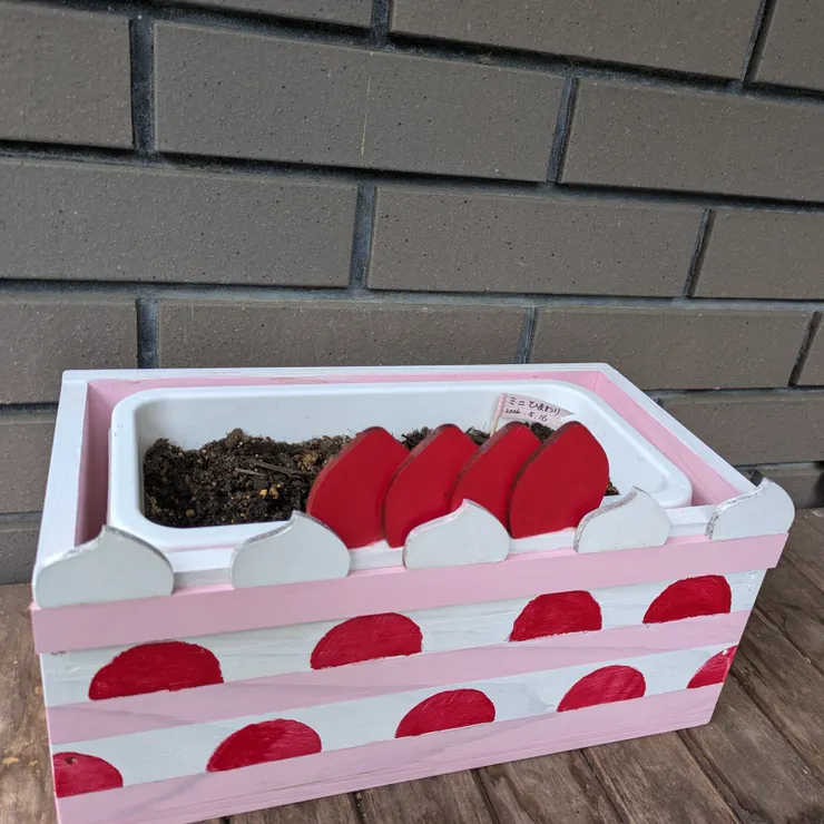 キャプション