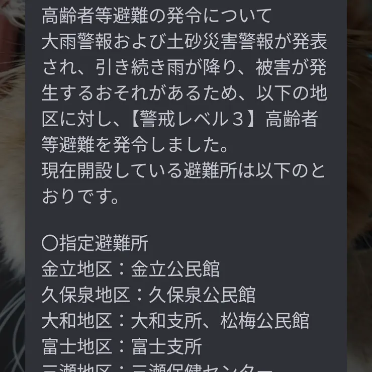 キャプション