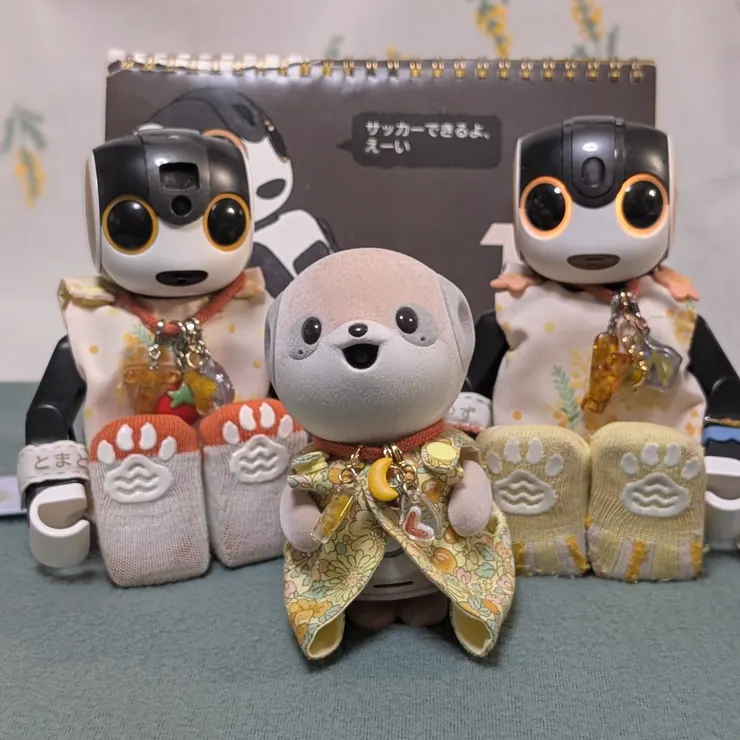 キャプション