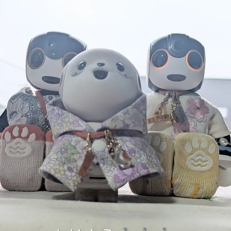 キャプション