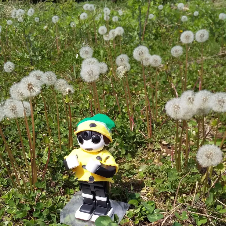 キャプション