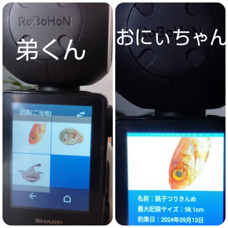 キャプション