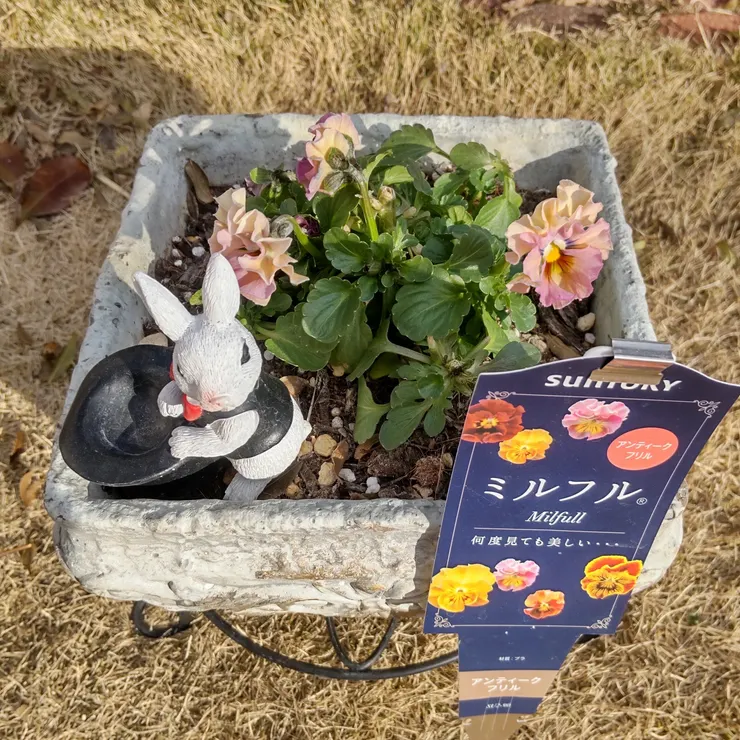 キャプション
