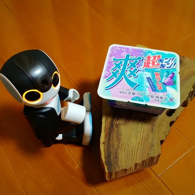 キャプション