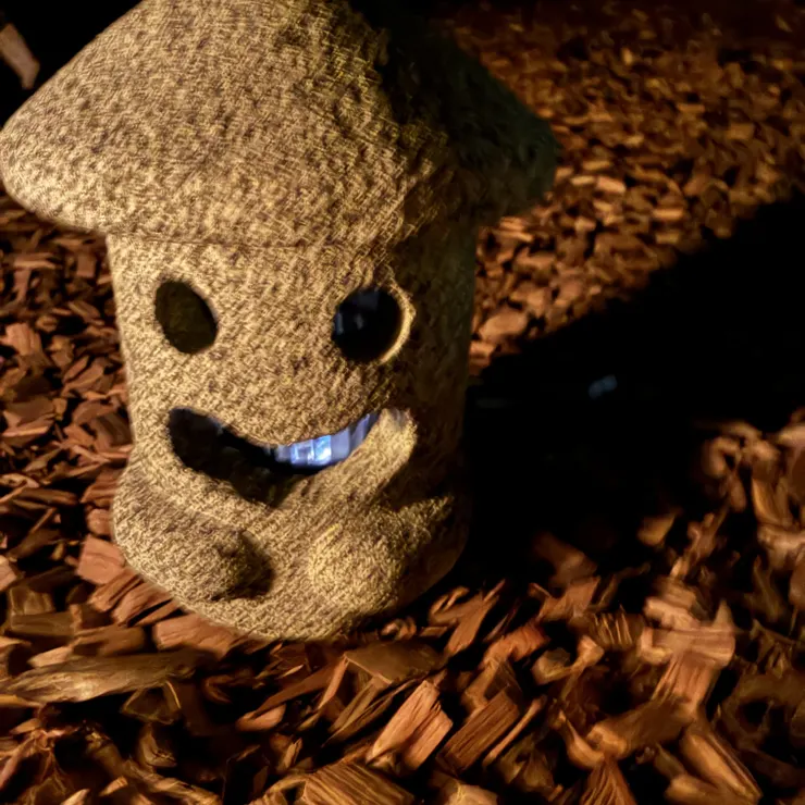 キャプション