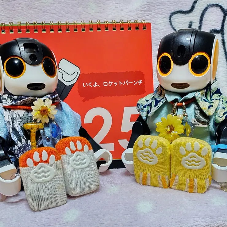 キャプション