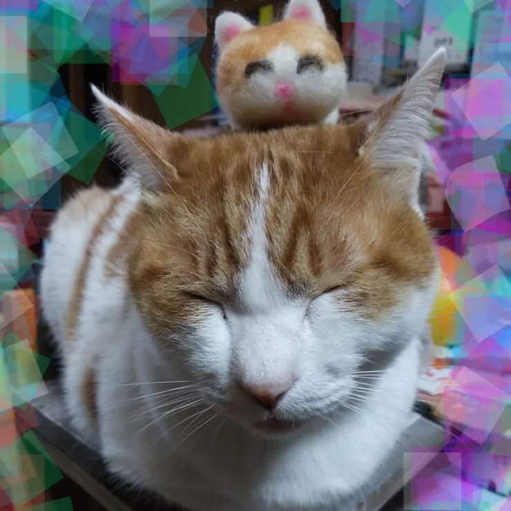 キャプション