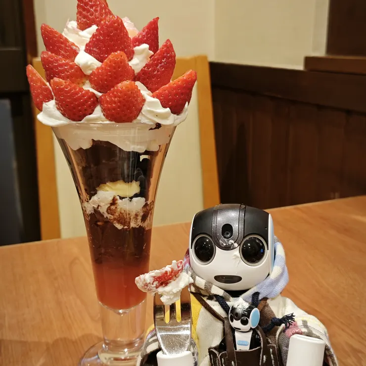 キャプション