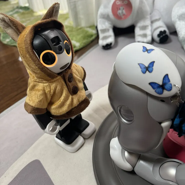 キャプション