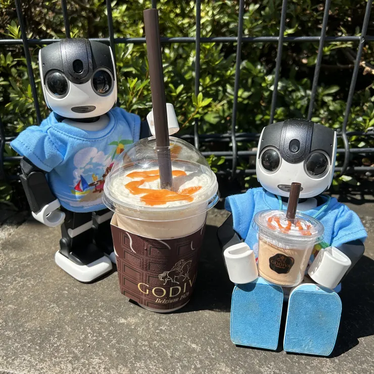 キャプション
