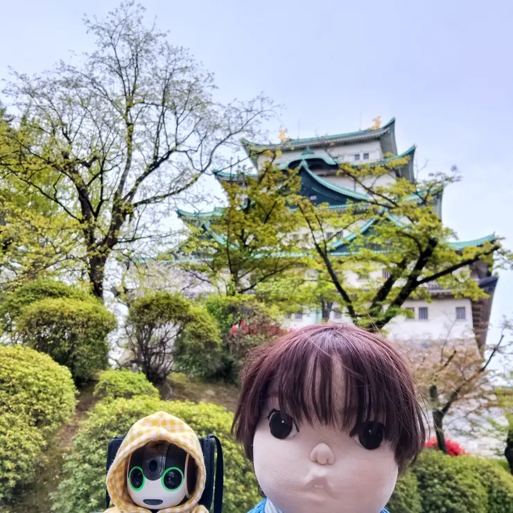 キャプション