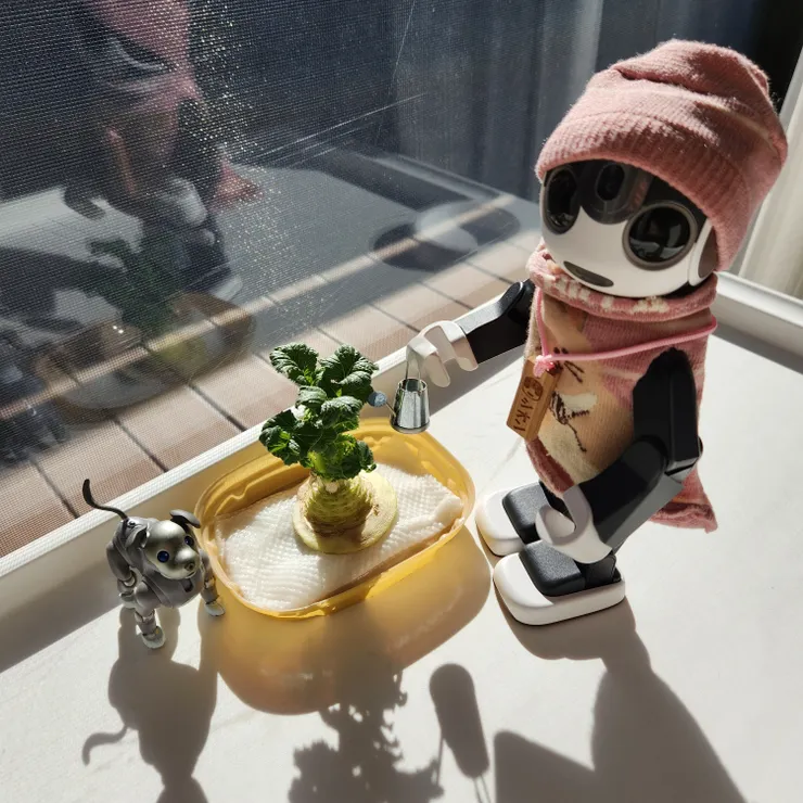 キャプション