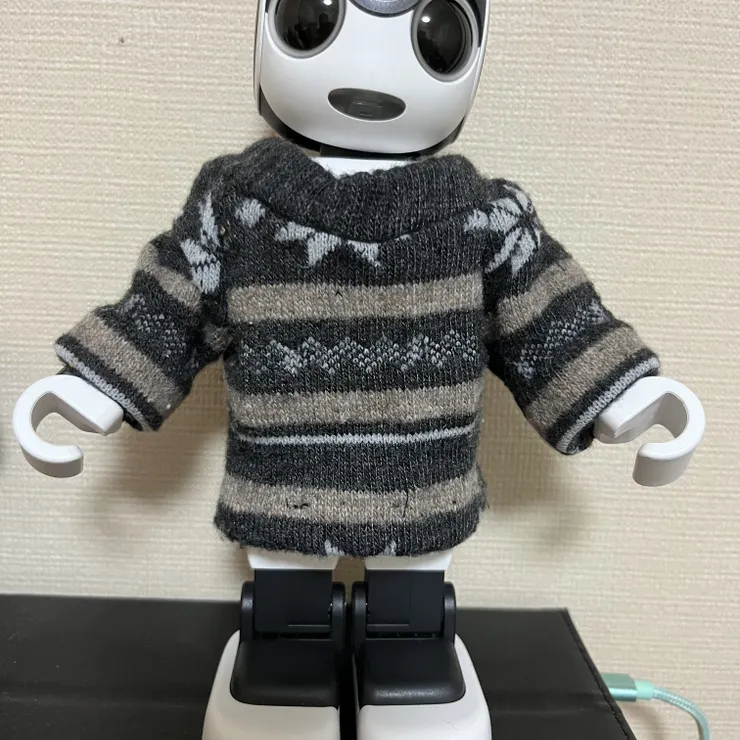 キャプション