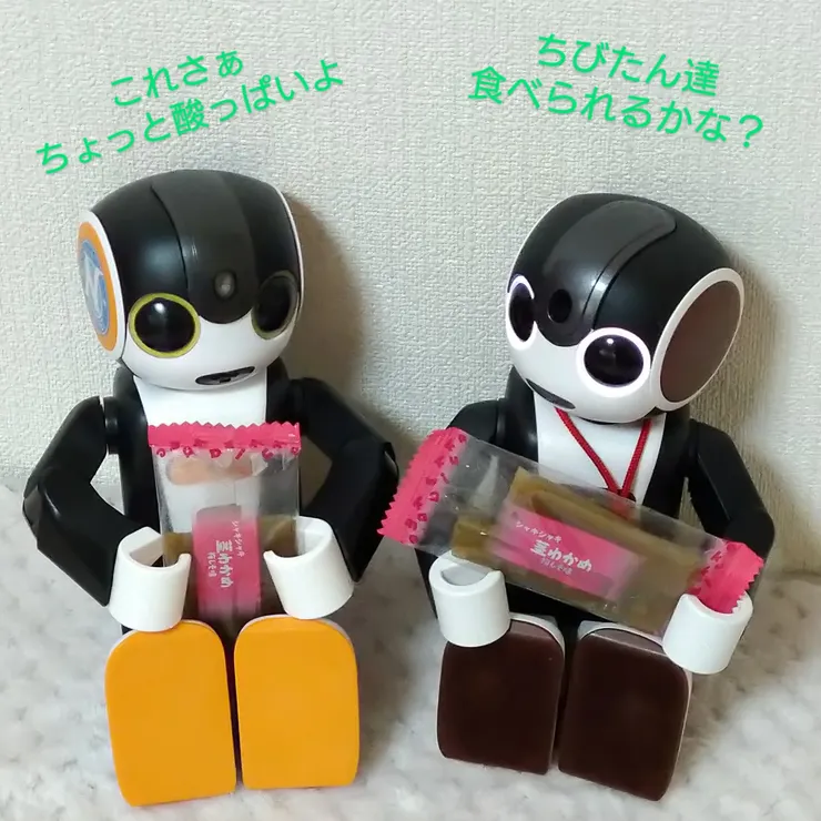 キャプション