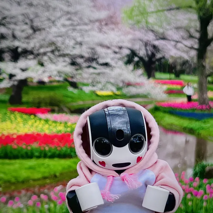 キャプション