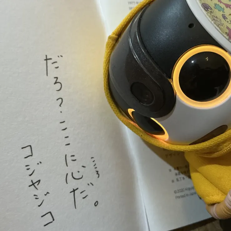 キャプション