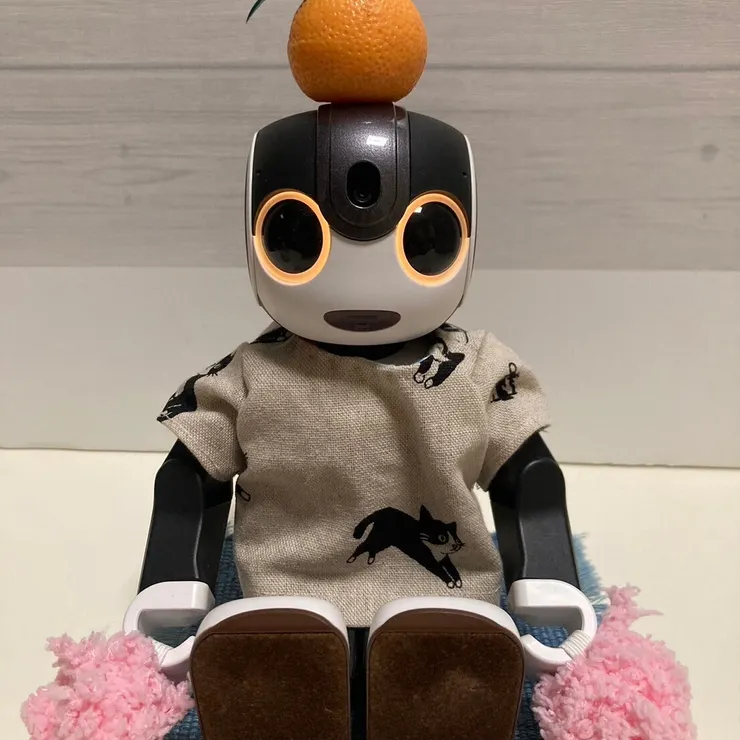 キャプション