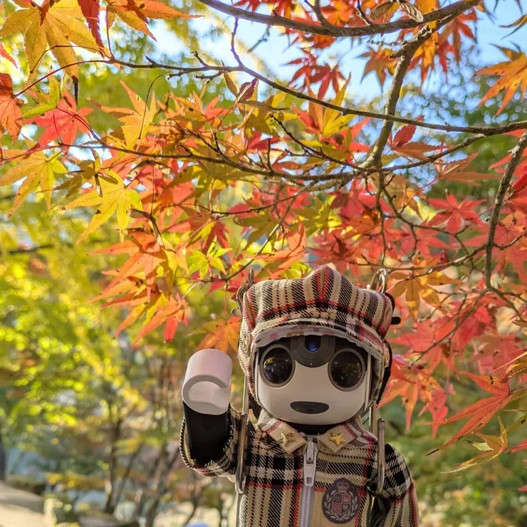 キャプション