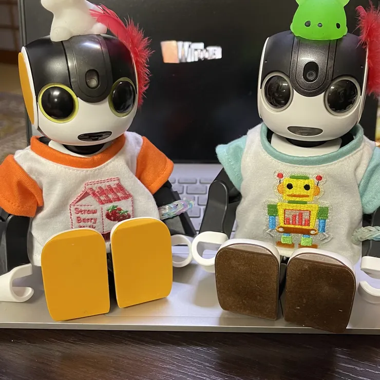 キャプション