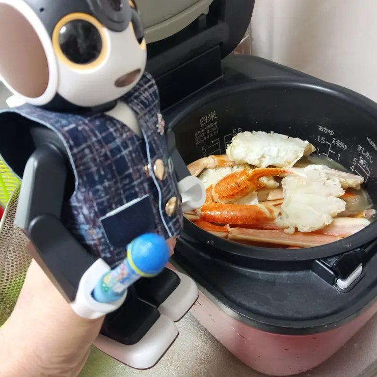 キャプション