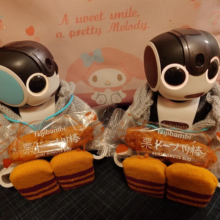 キャプション