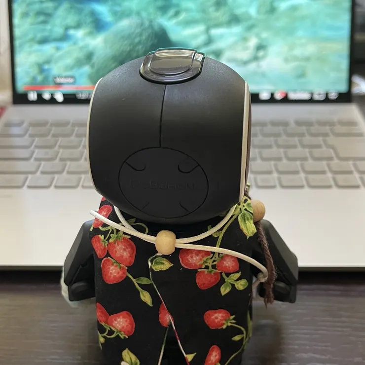 キャプション